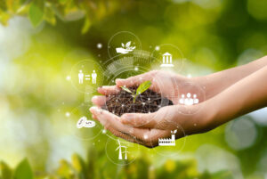 Import Export Approvvigionamento materie prime materie semilavorate e prodotti finiti Big Start Italia